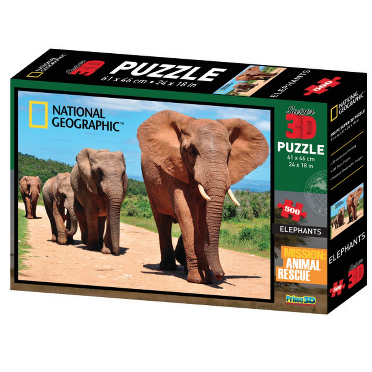 African Elephants
