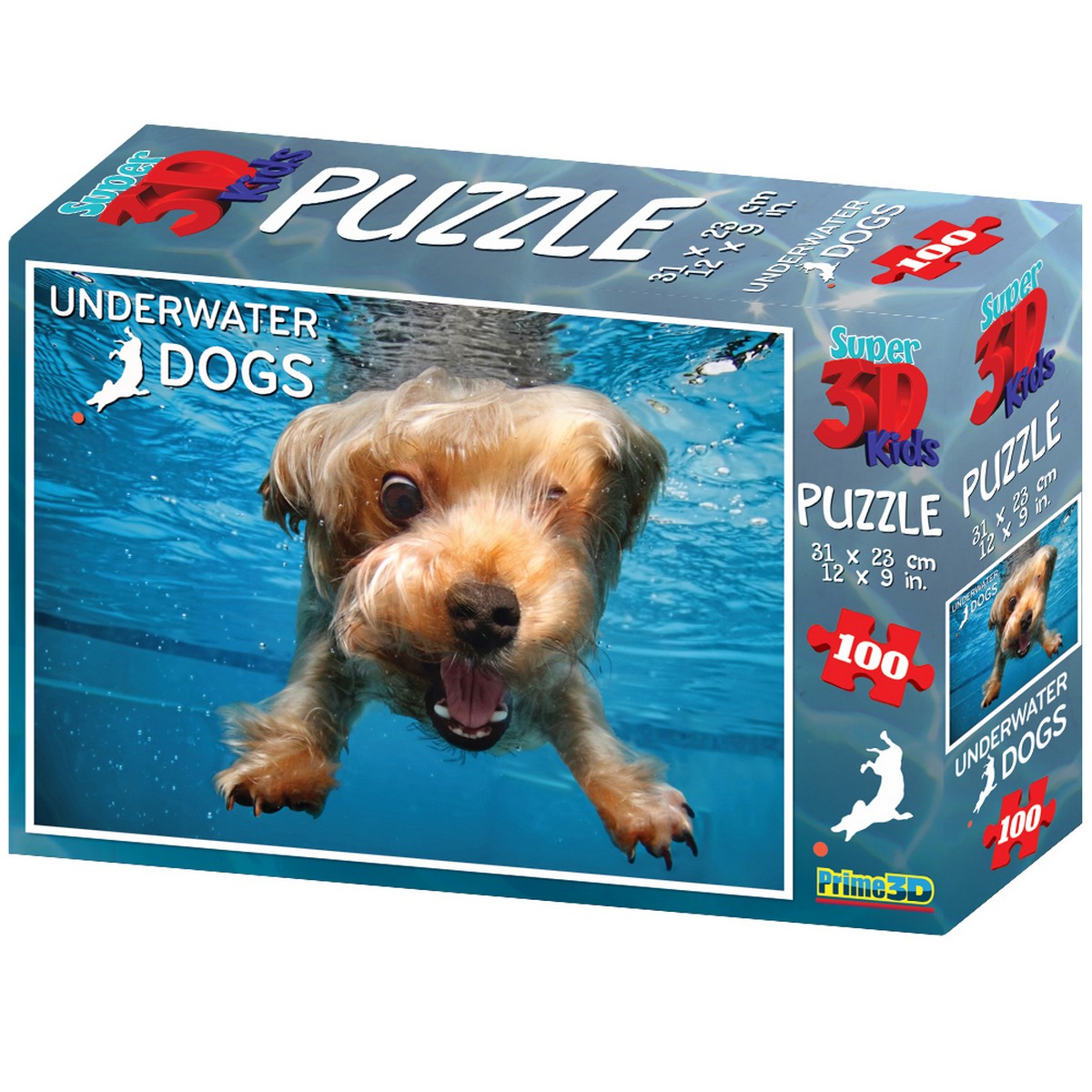 Underwater Dogs - Brady
