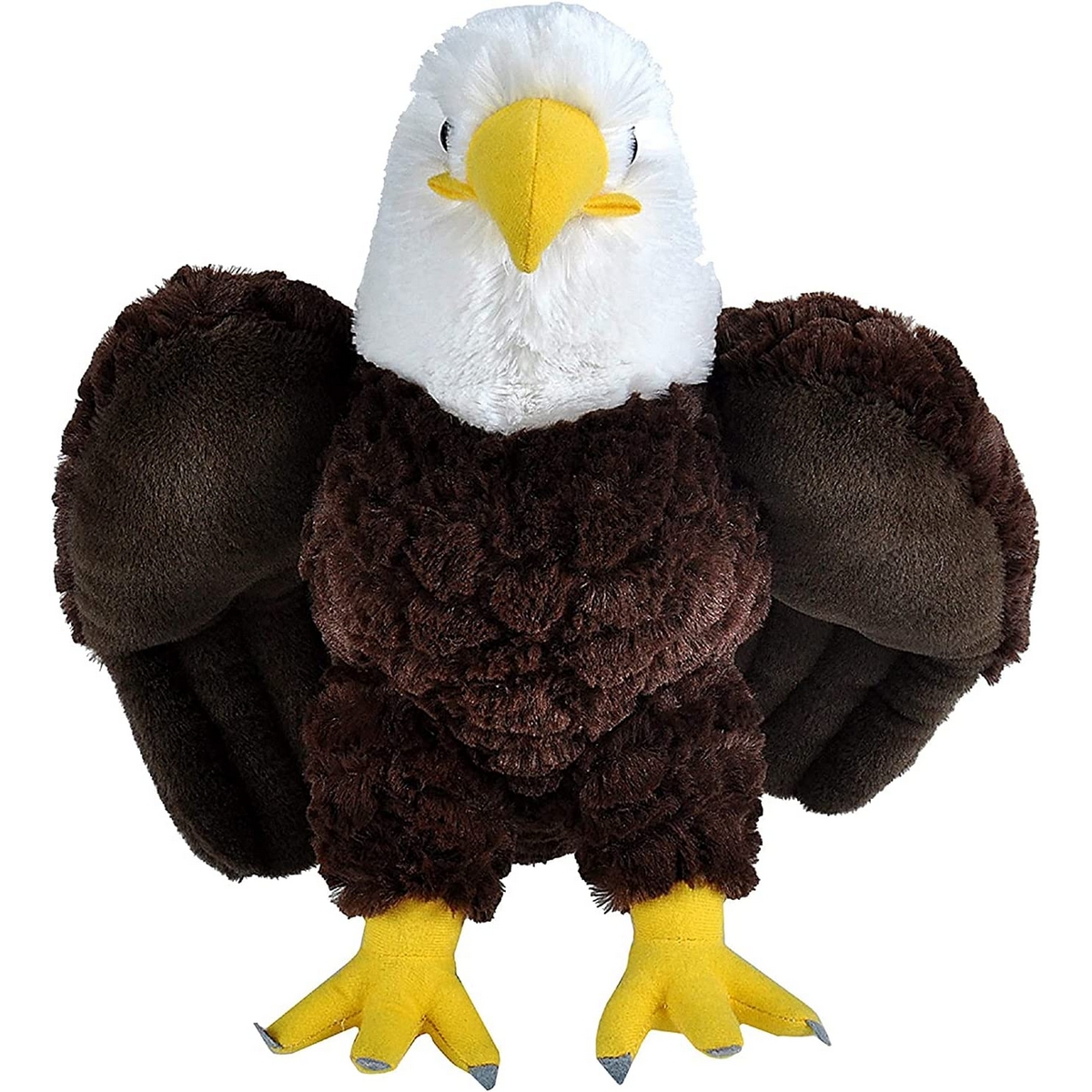 Aquila