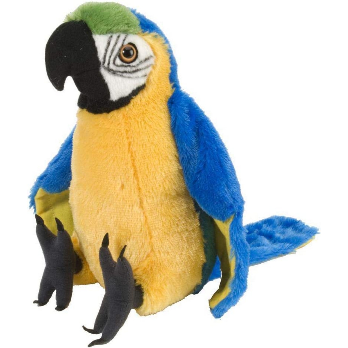 Pappagallo Ara Blu