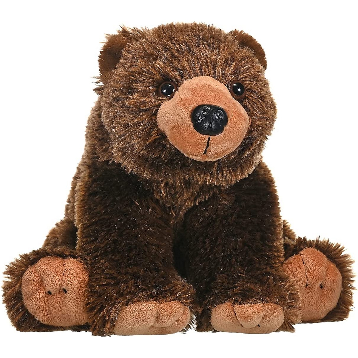 Orso Bruno