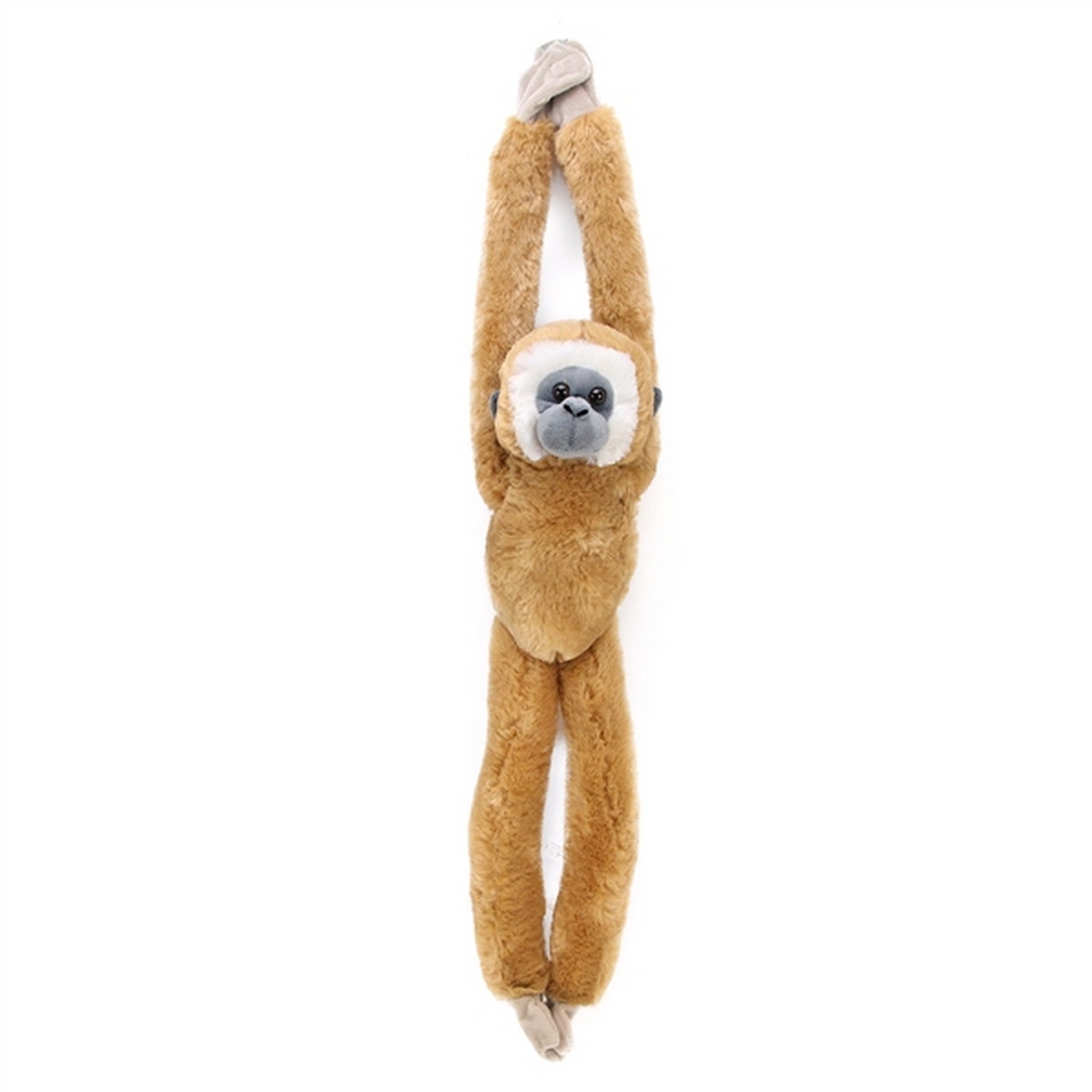 Hanging Monkey - Gibbone