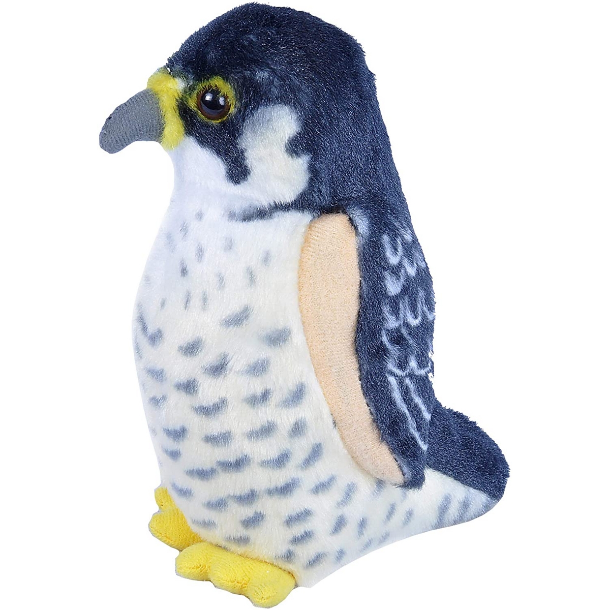 Falco Pellegrino con suono