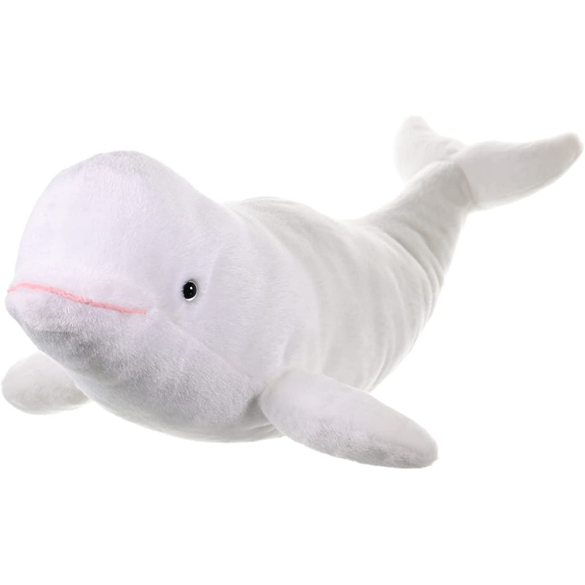 Beluga