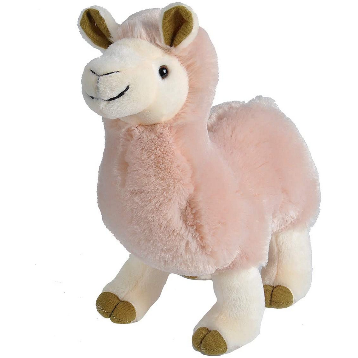 Lama
