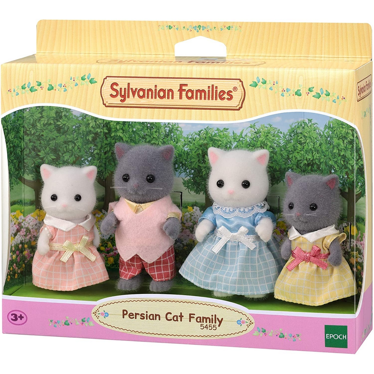 Famiglia gatto persiano