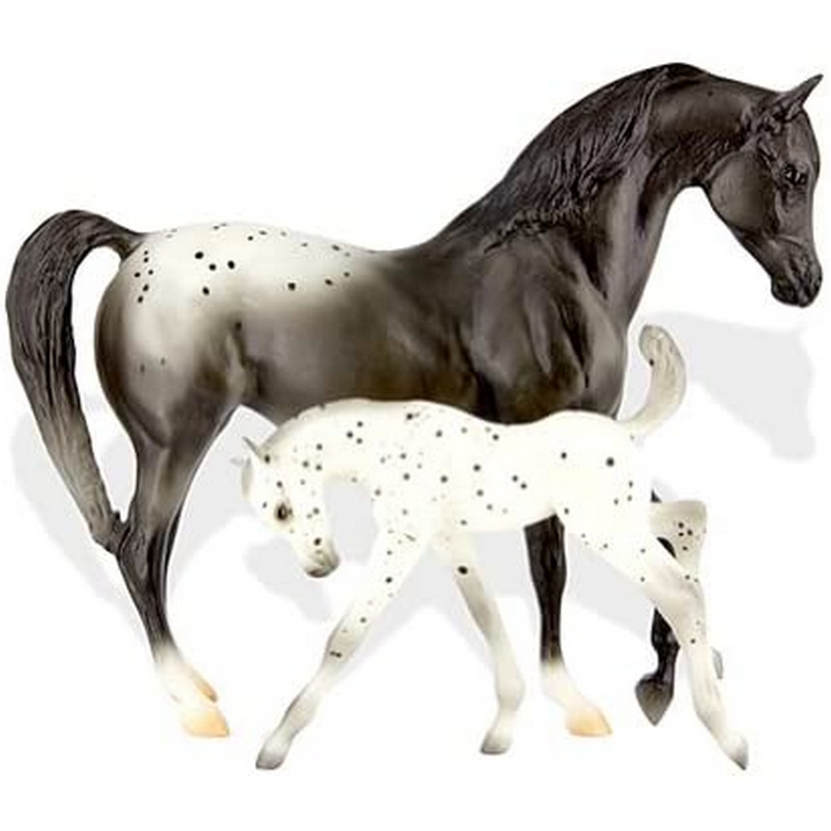 Cavallo e puledro
