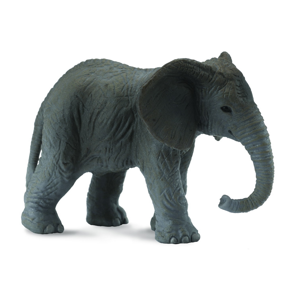 Elefante Africano Cucciolo