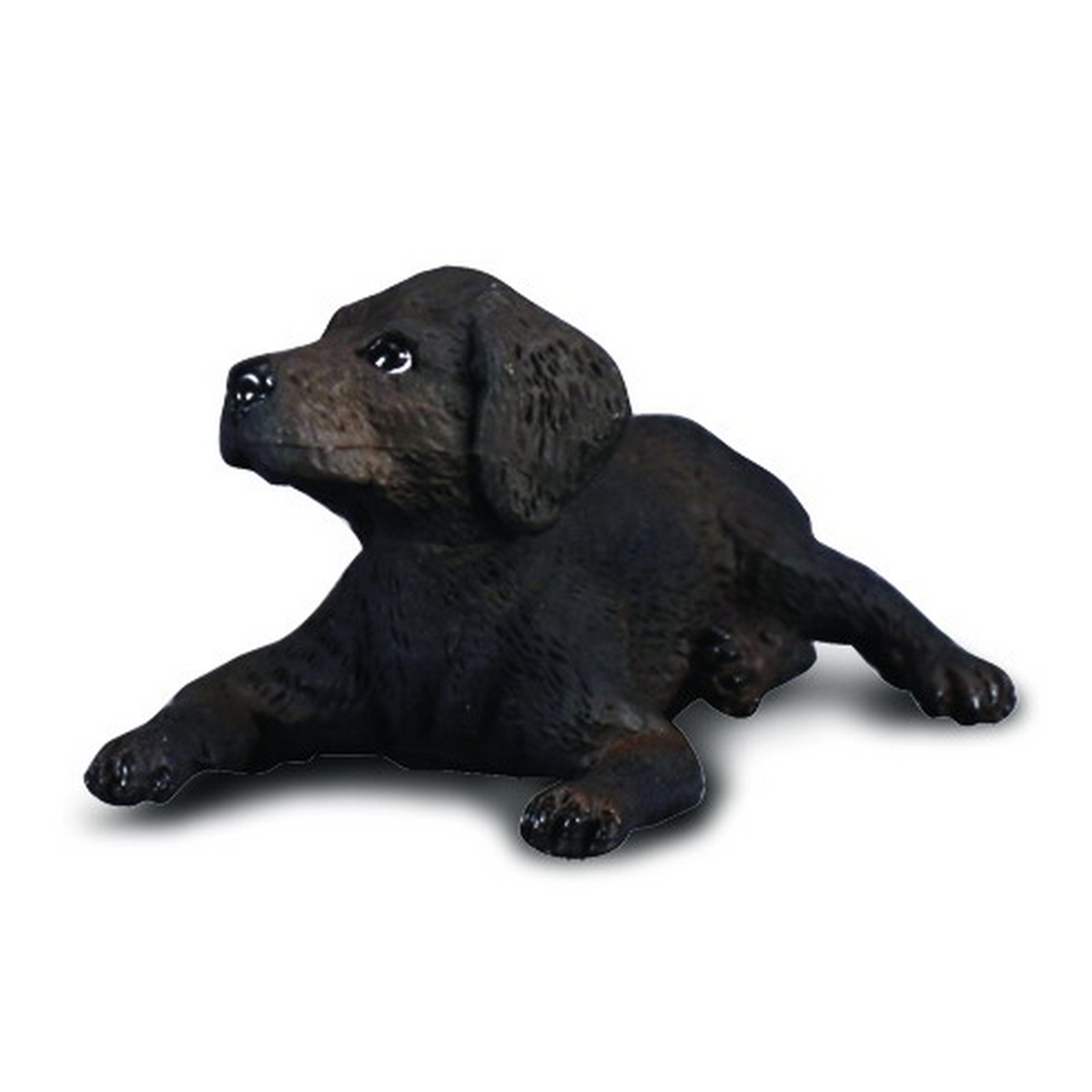 Labrador Retriever Cucciolo
