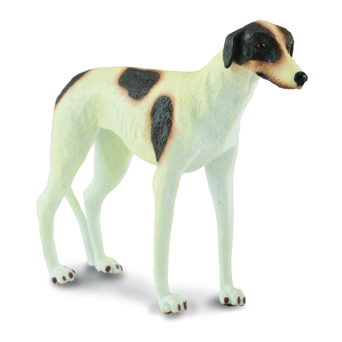Greyhound
