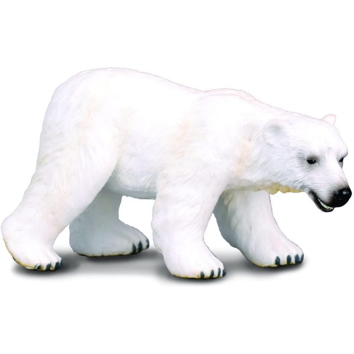 Orso Polare