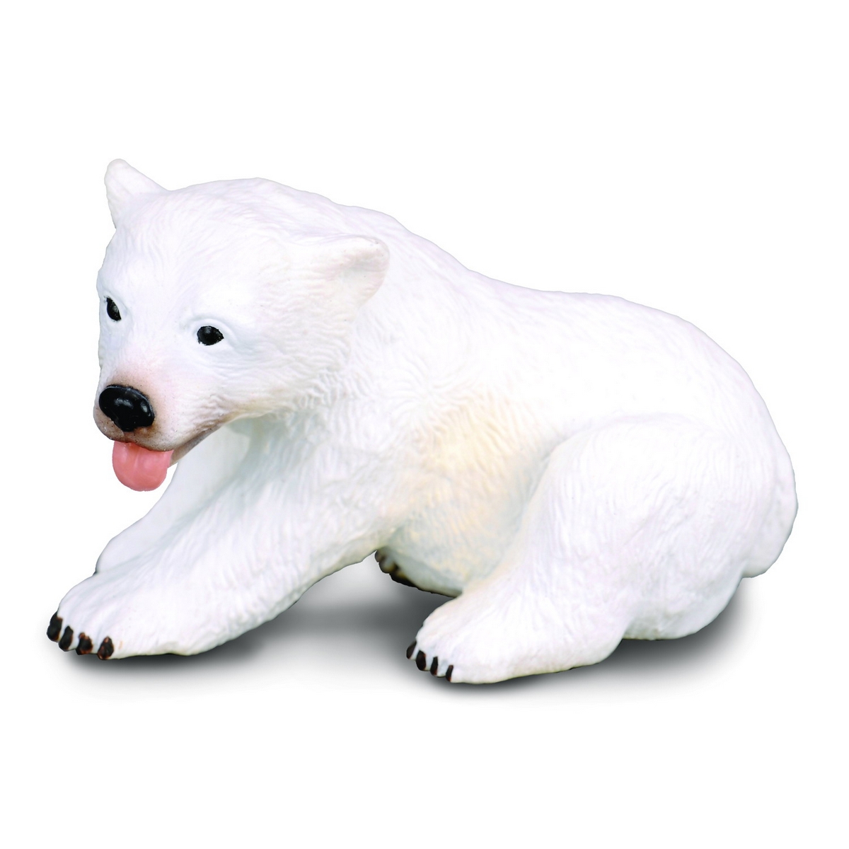 Orso Polare Cucciolo