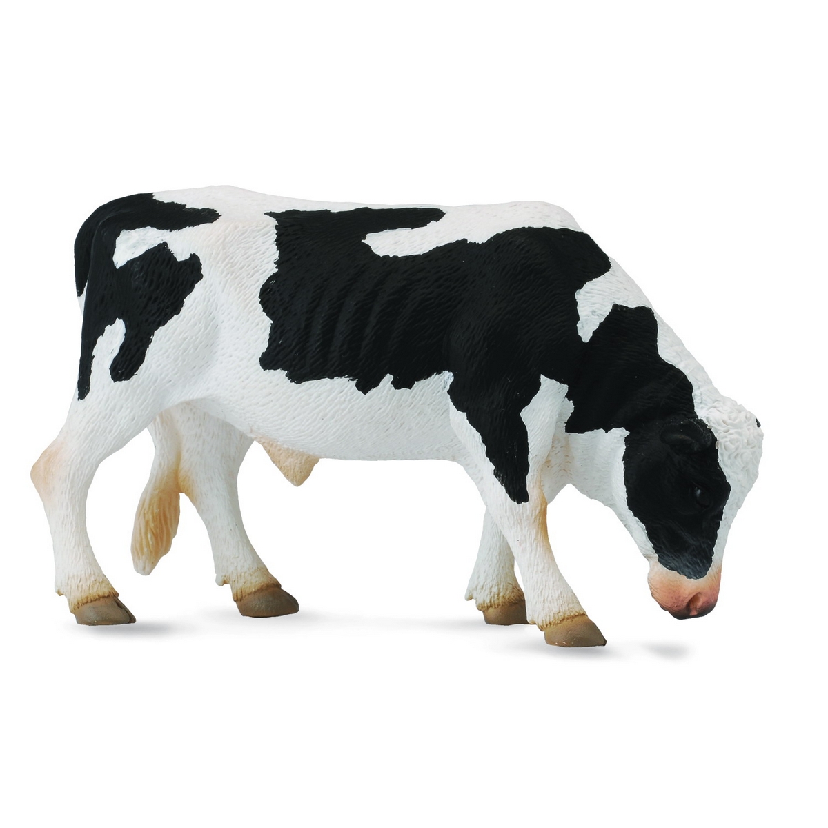 Toro Frisona