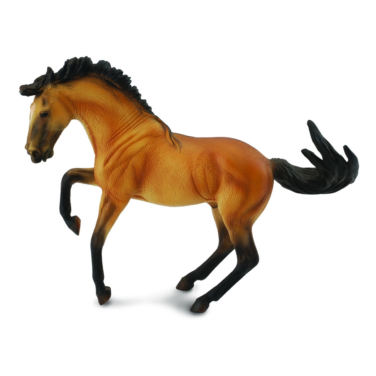 Stallone Lusitano