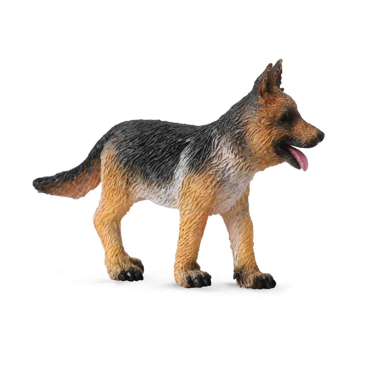 German Shepherd Puppy
