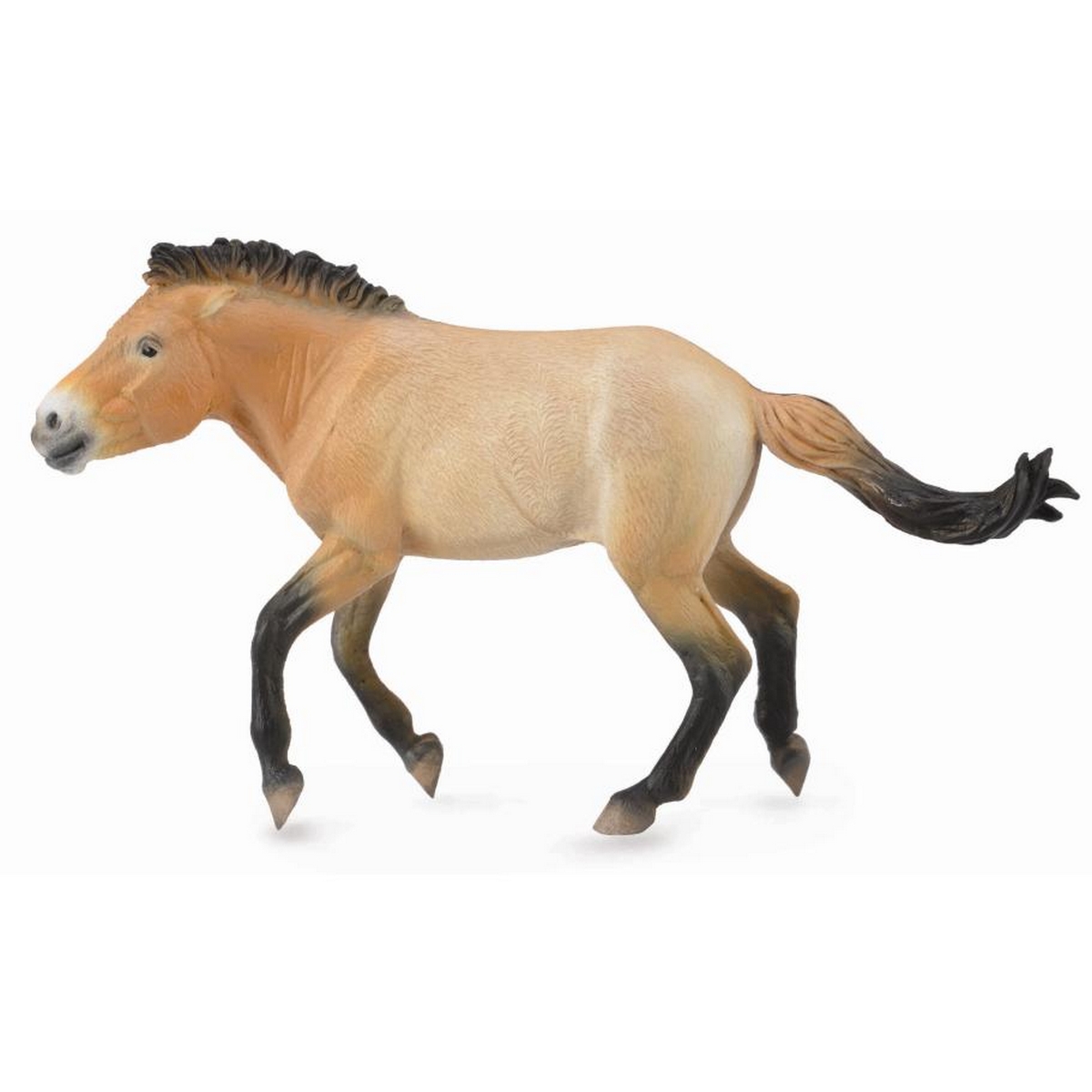 Pony della Mongolia
