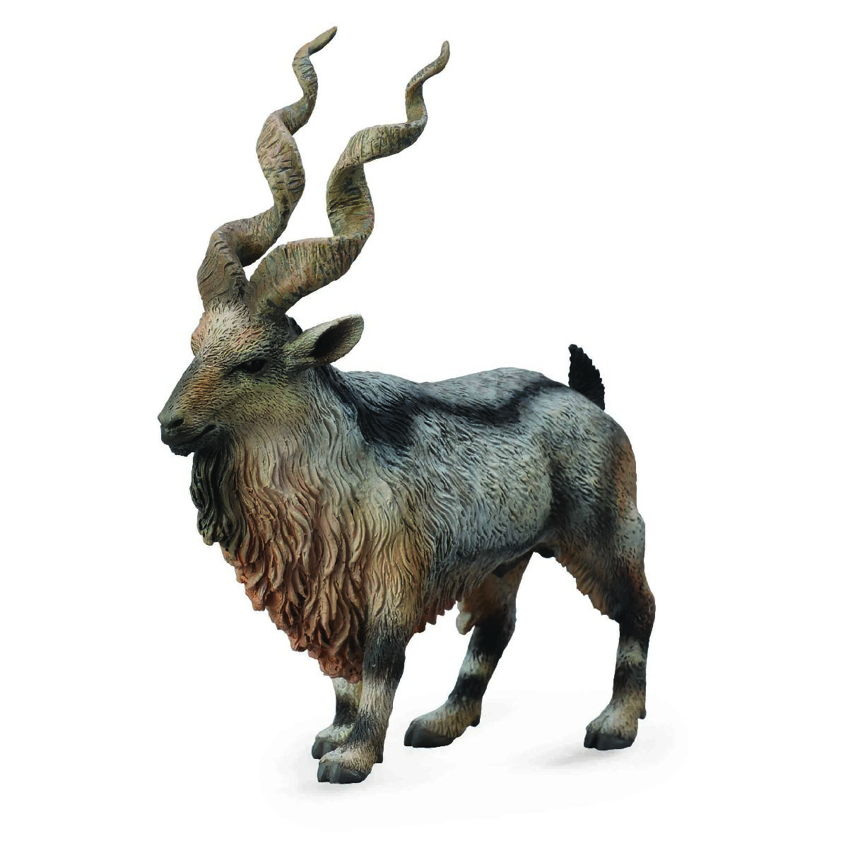 Capra Tadjik Markhor