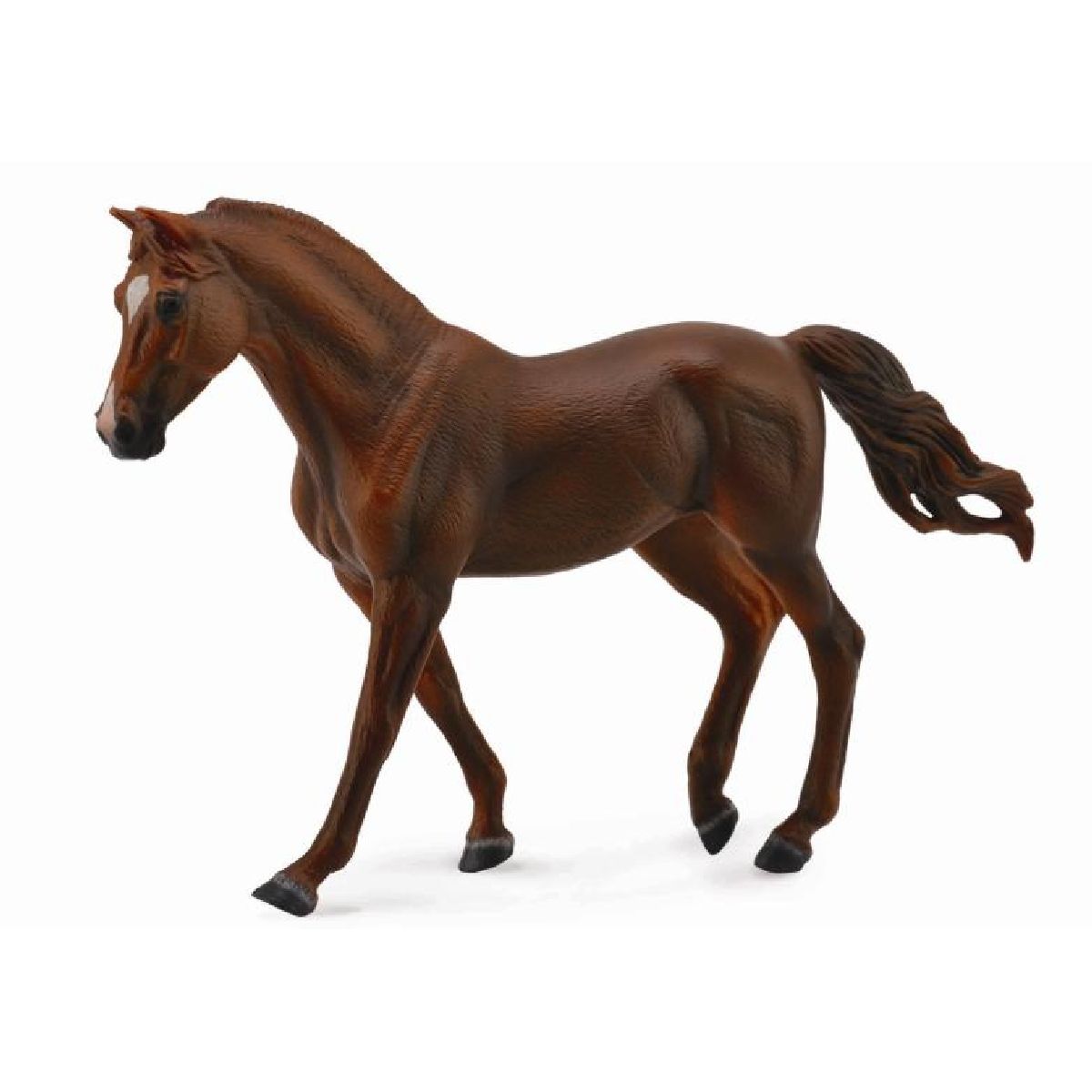Missouri Fox Trotter - XL