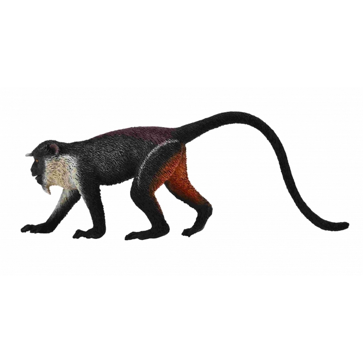 Cercopiteco Diana