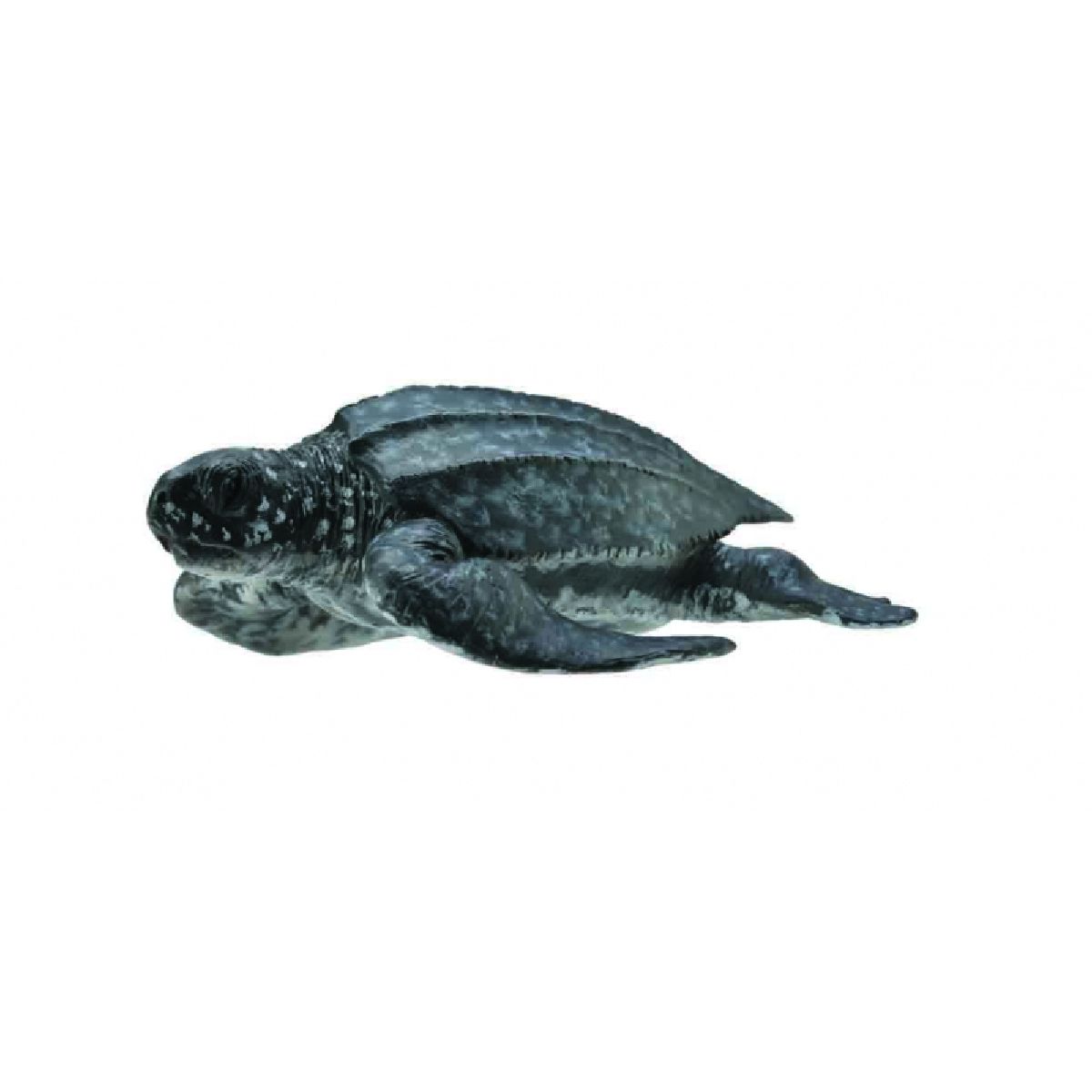Tartaruga Liuto