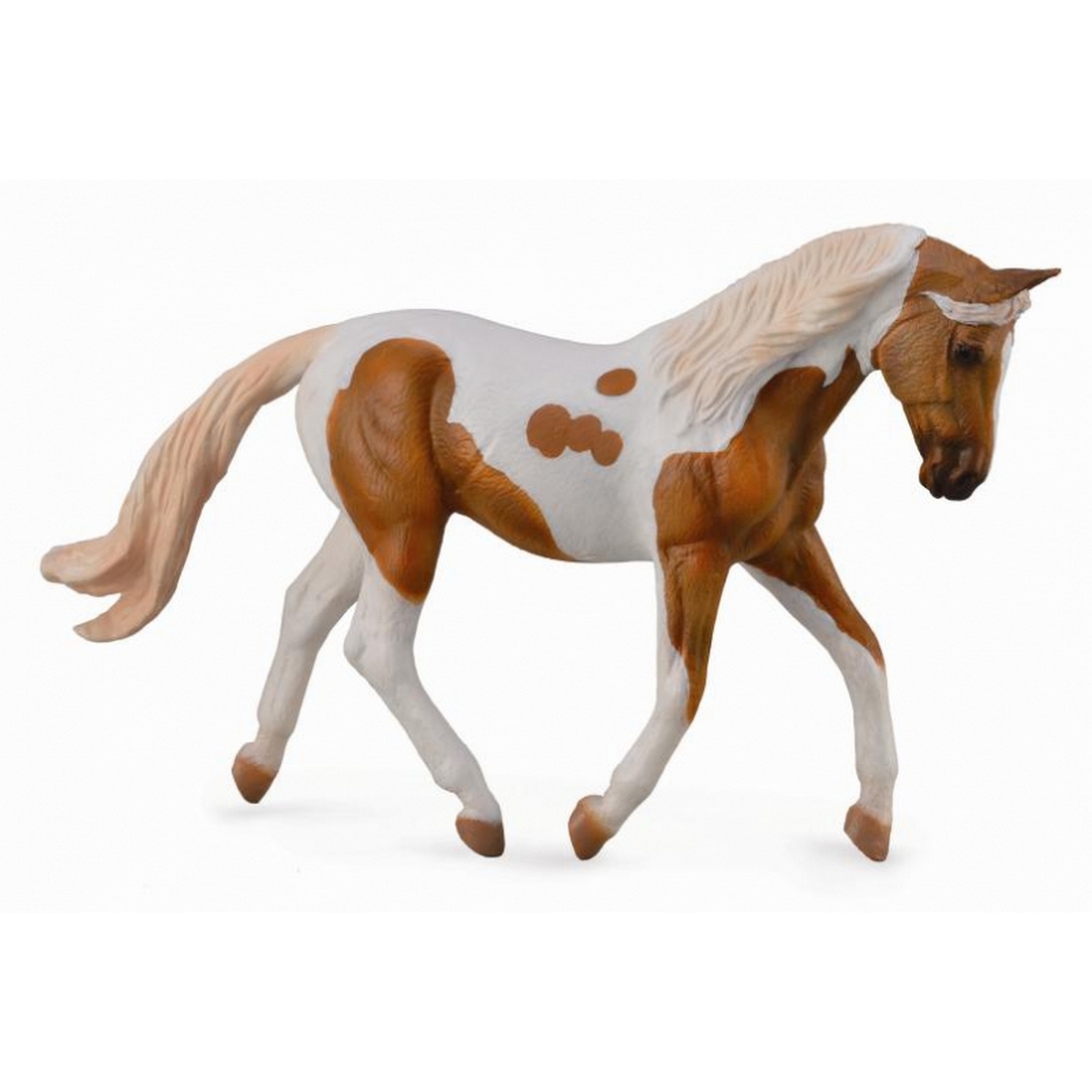 Palomino