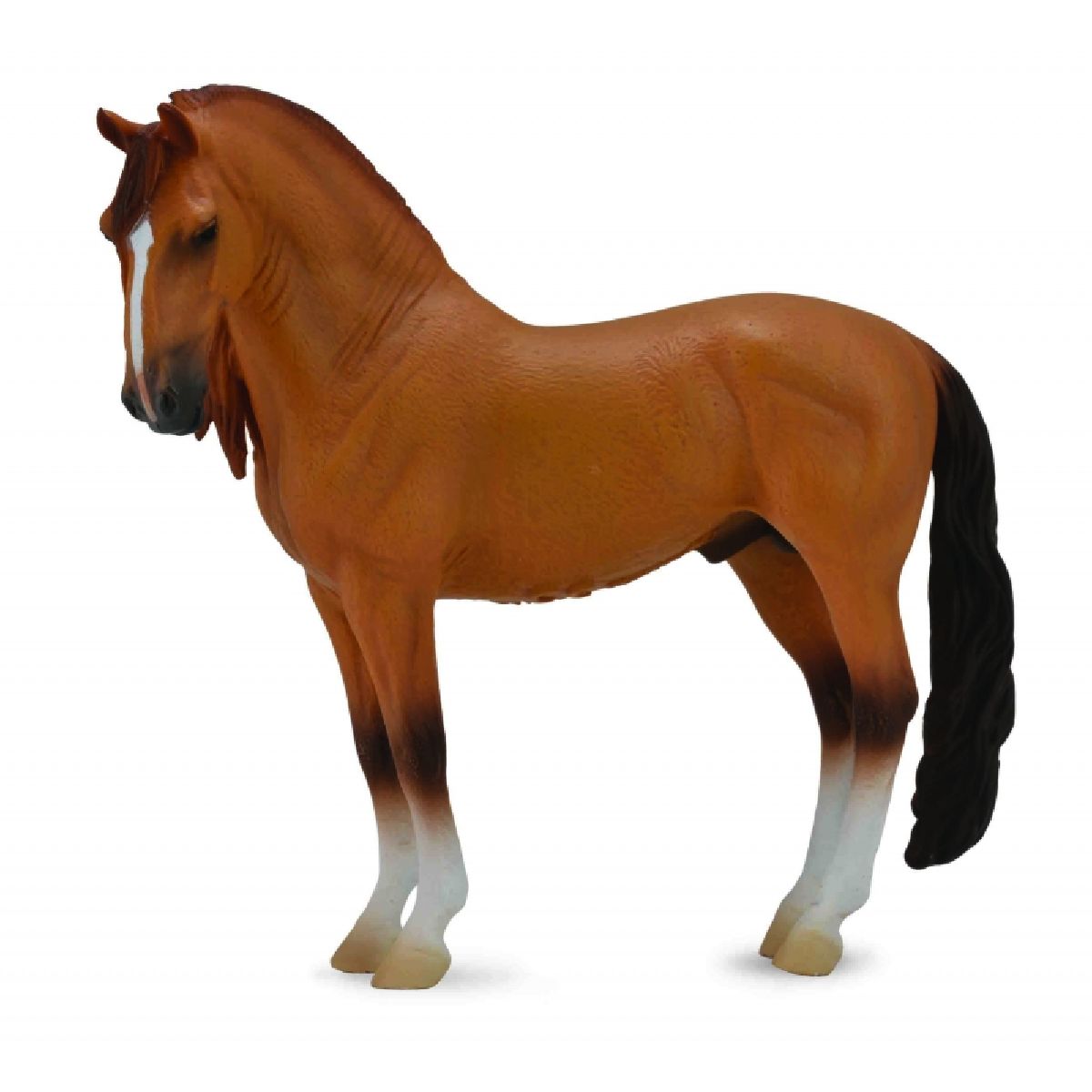 Campolina Stallion - XL