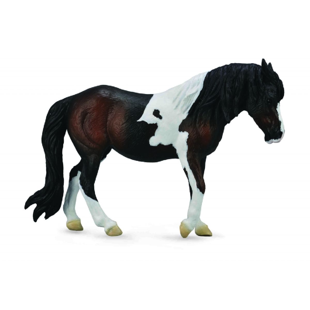Dartmoor Hill Mare - Bay - L