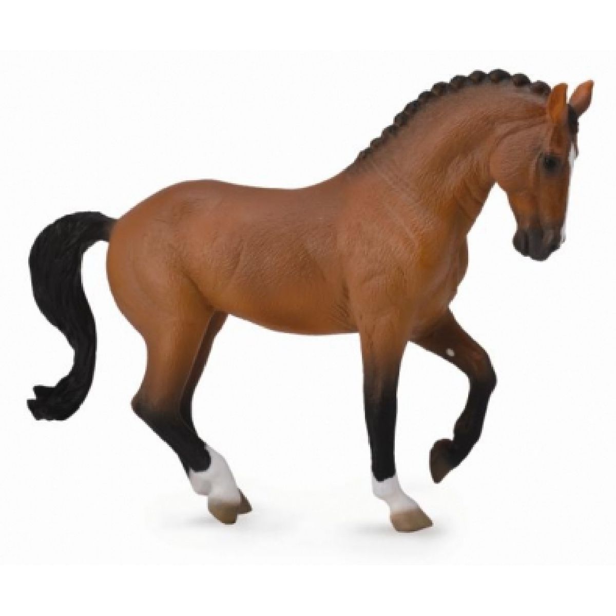 Hanoverian Mare - Bay - XL