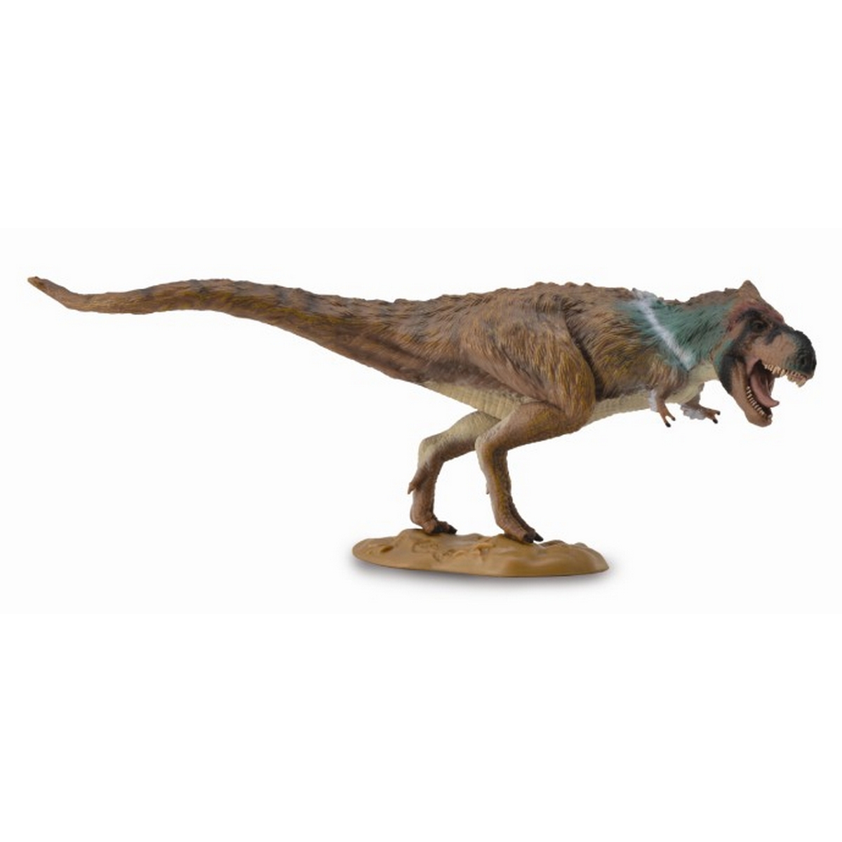 Tyrannosaurus  Rex