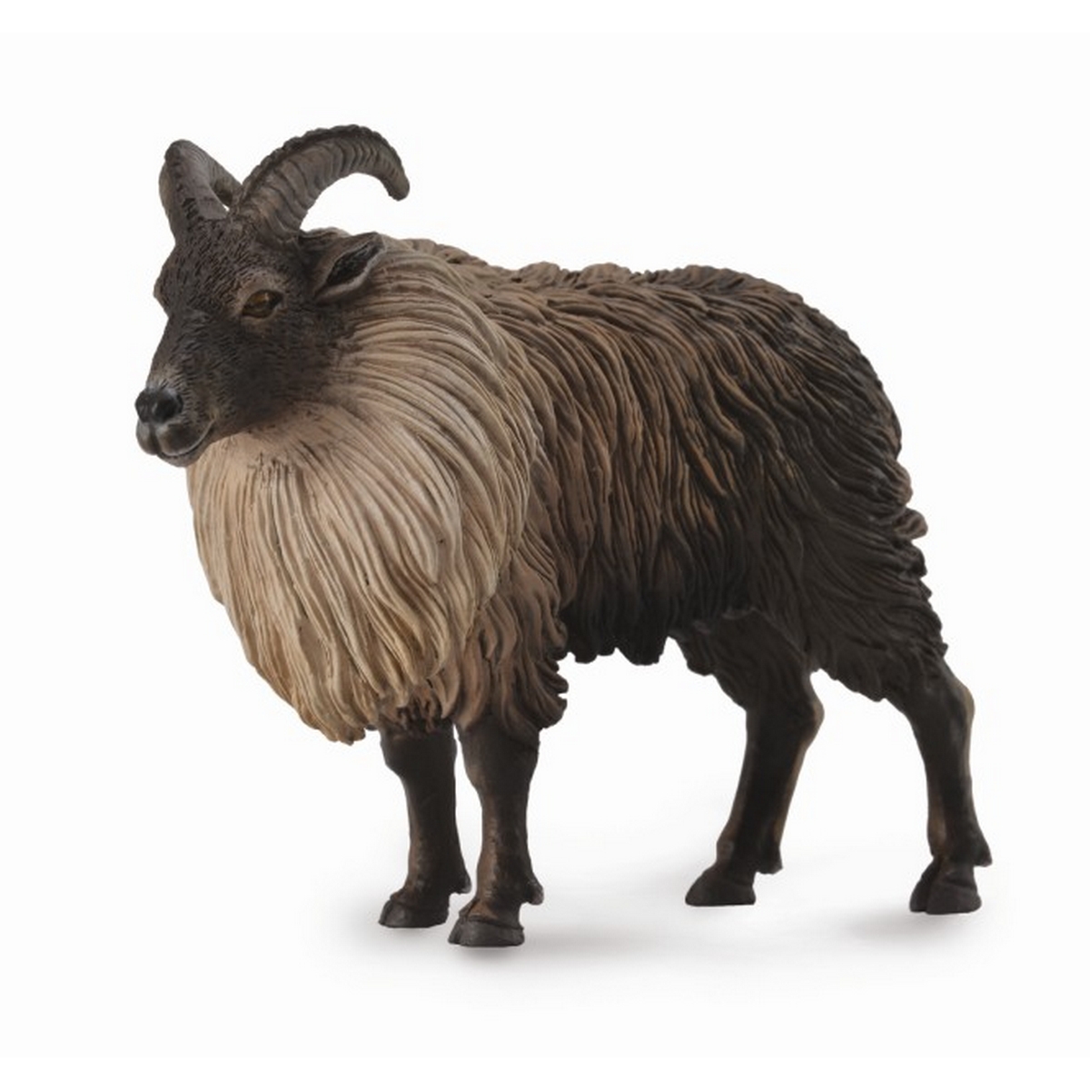Tahr Himalayano