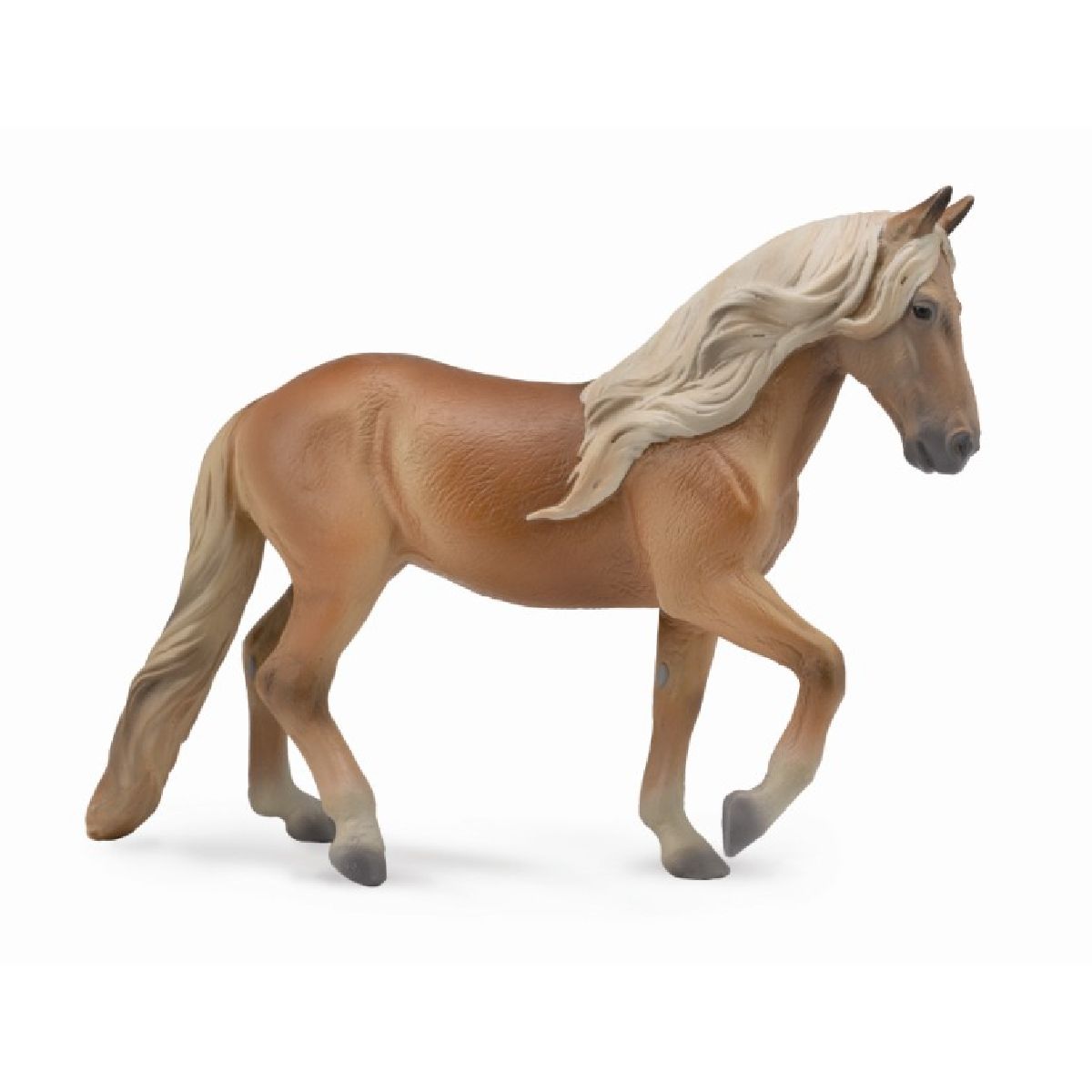 Peruvian Paso Mare - XL