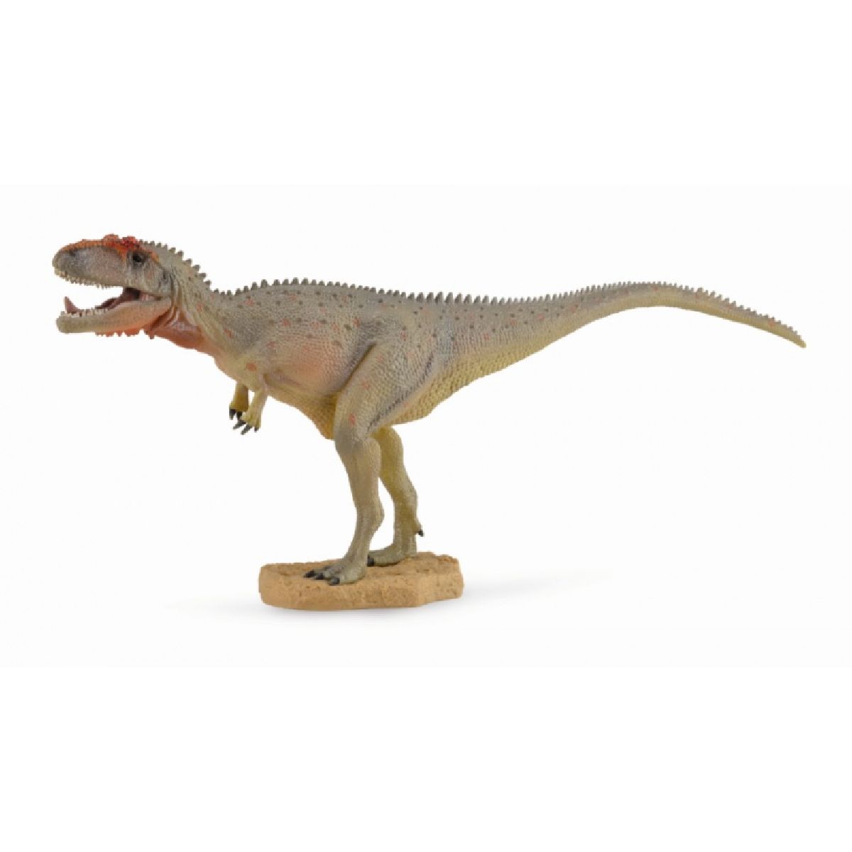 Mapusaurus