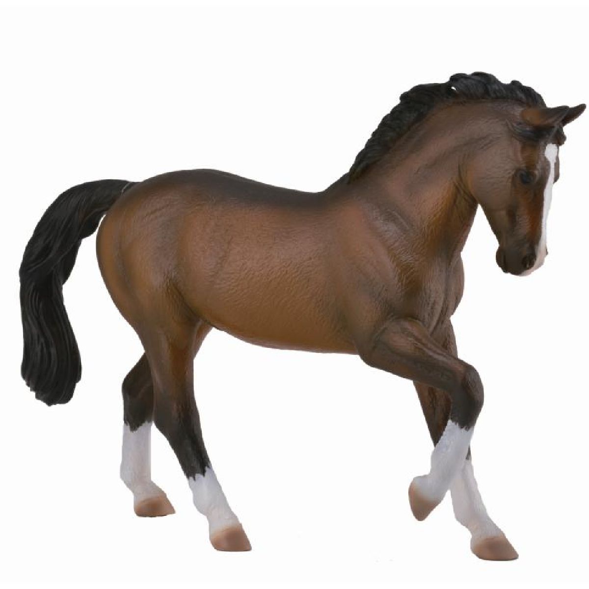 Warmblood Stallion Bulk/XL