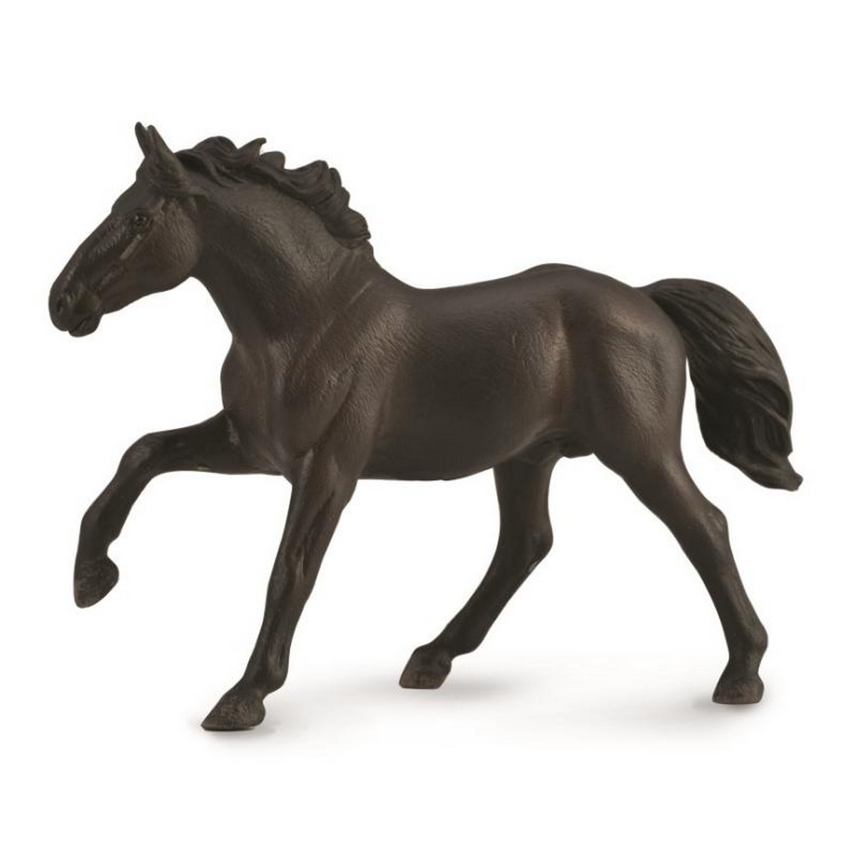 Nonius stallion