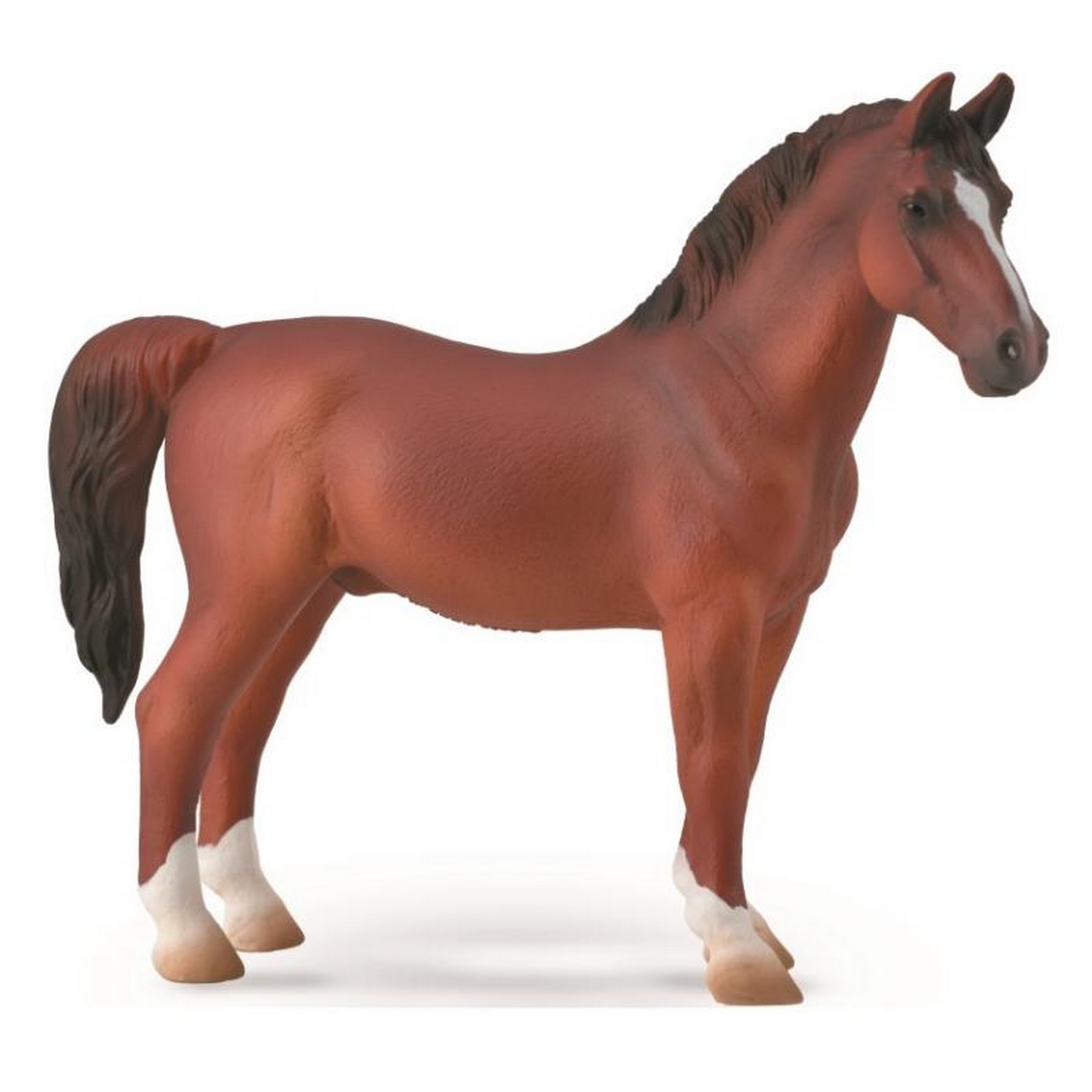Hackney Stallion Chestnut
