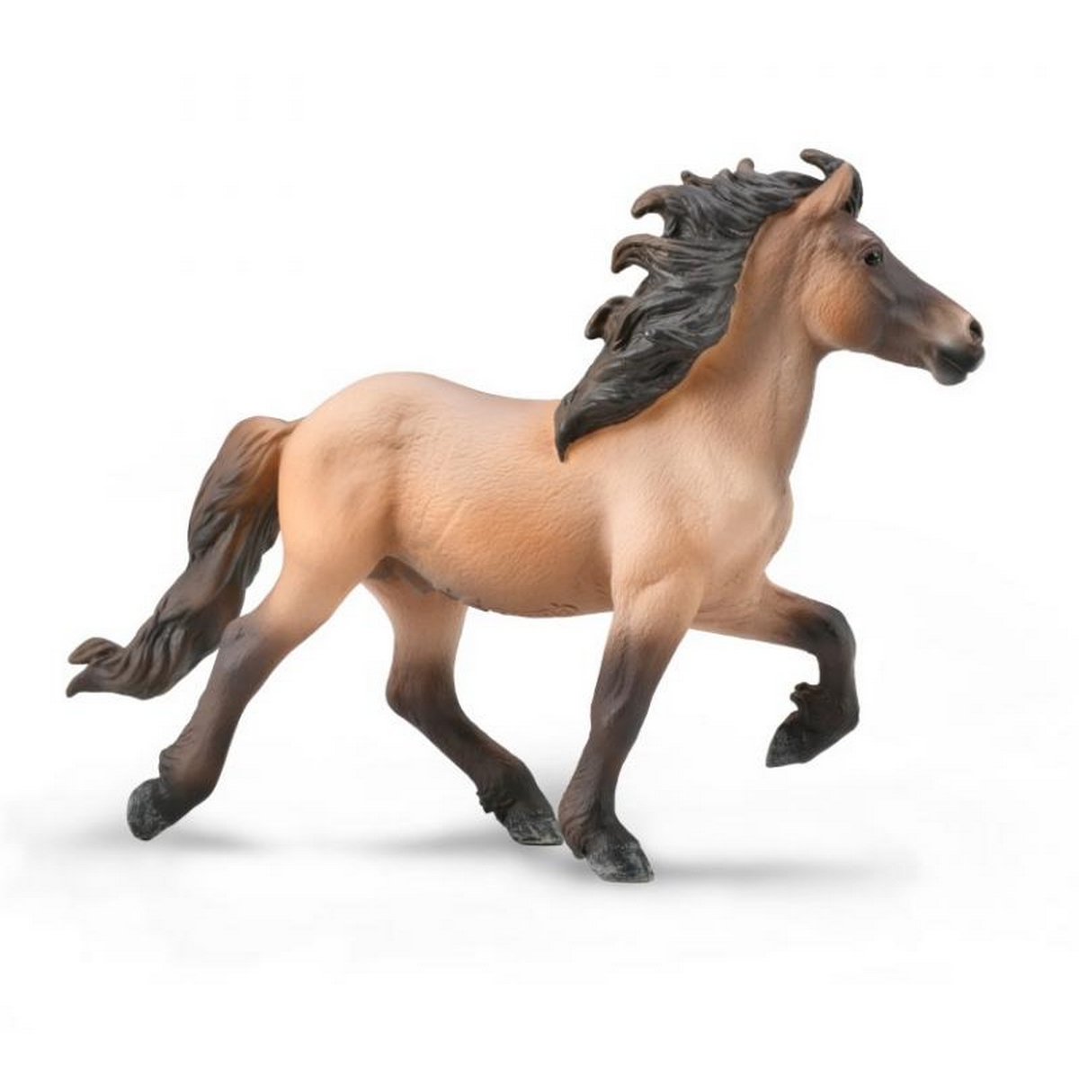 Icelandic Stallion Light brown