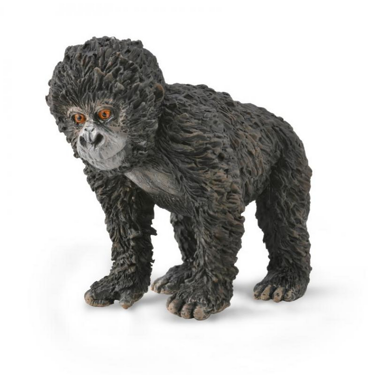 Gorilla Cucciolo