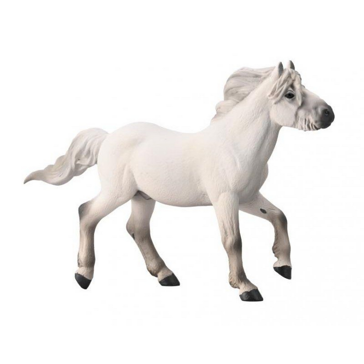 Stallone Yakutian grigio