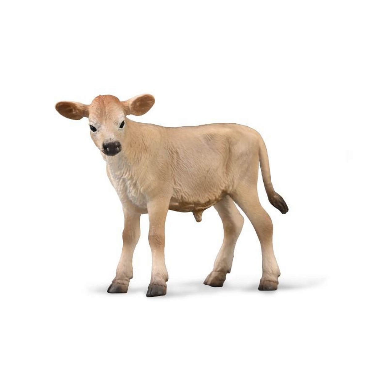 Mucca Jersey Cucciolo