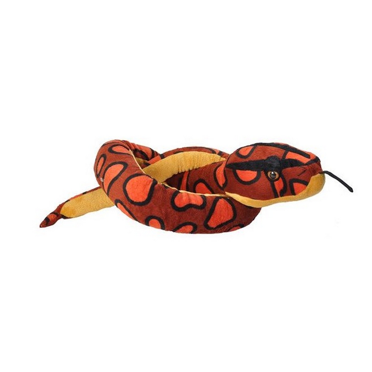 Snakesss -  Serpente Boa Arcobaleno
