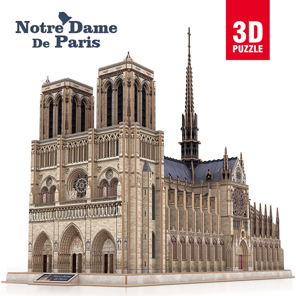 Notre Dame Parigi