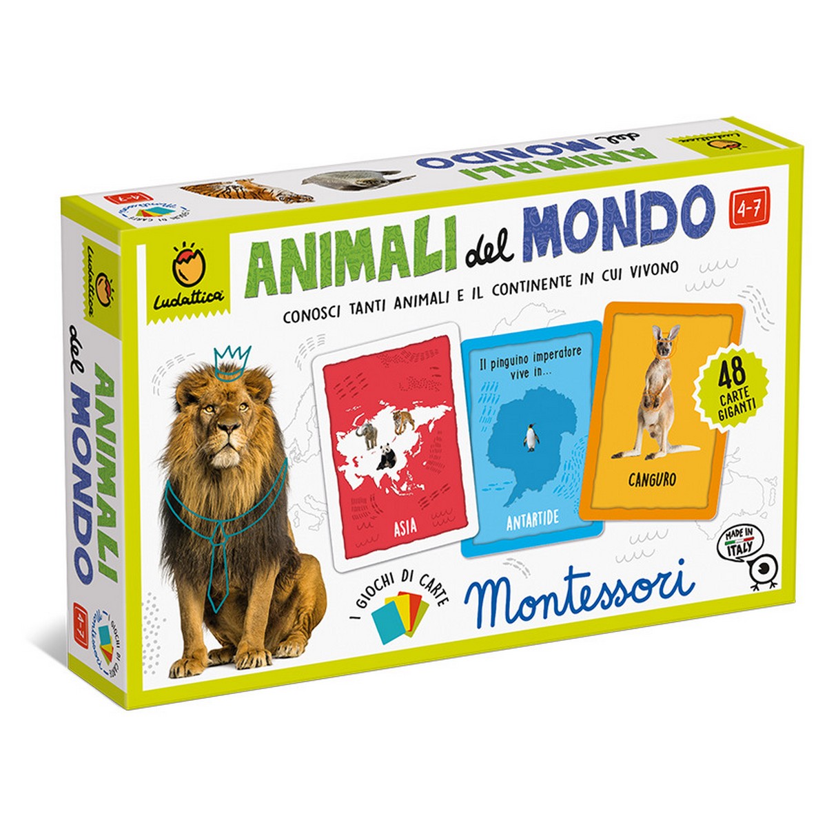 Carte Montessori - Animali del Mondo