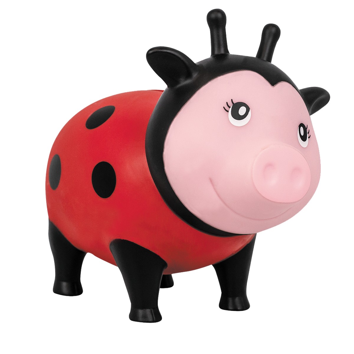 Salvadanaio Pig - Coccinella