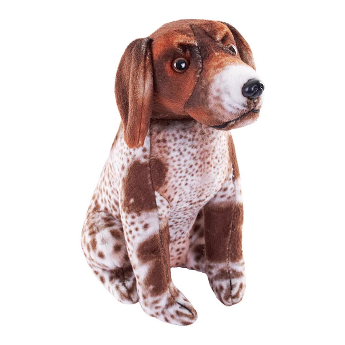 Cane con suono - Bracco Tedesco