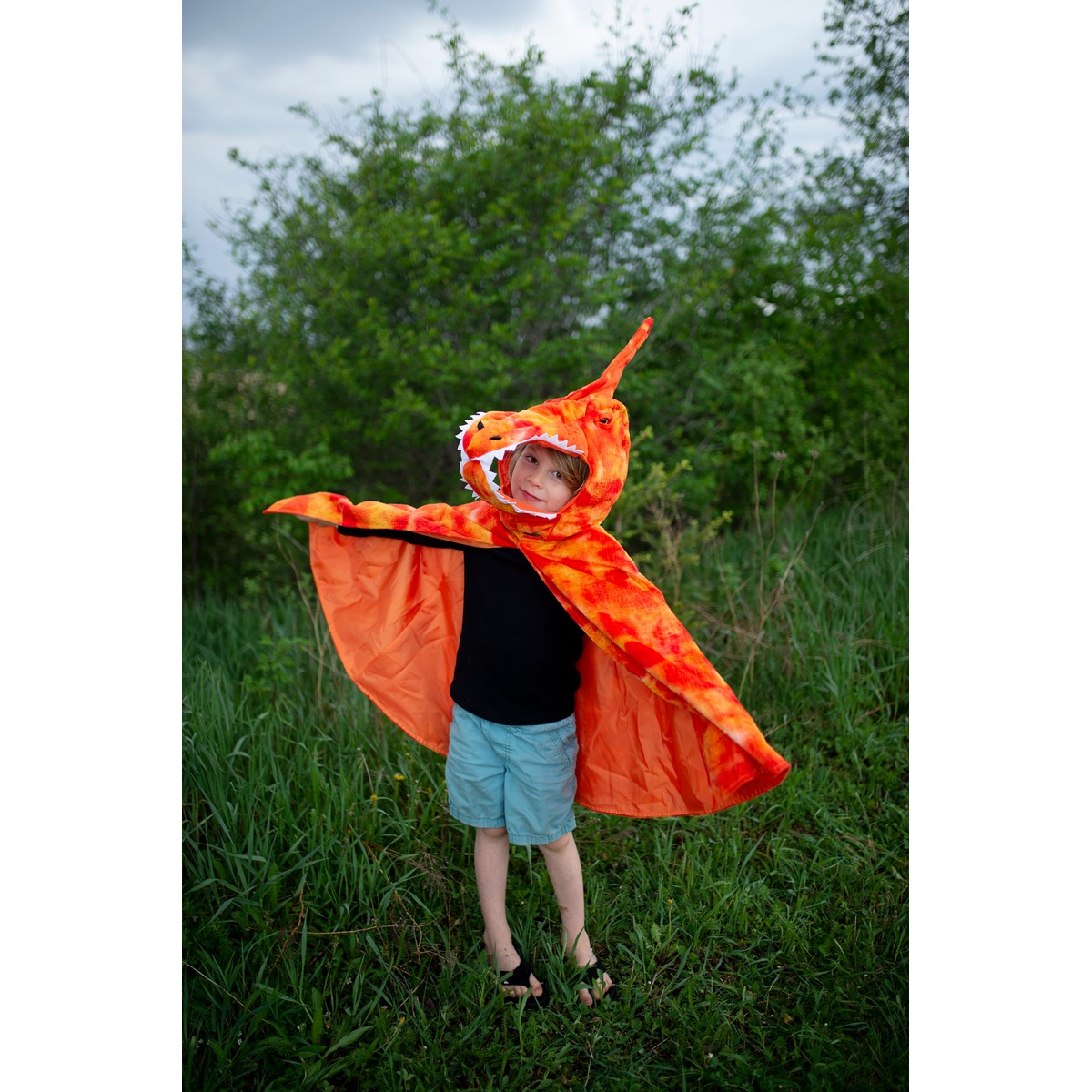 Mantello Pterodattilo