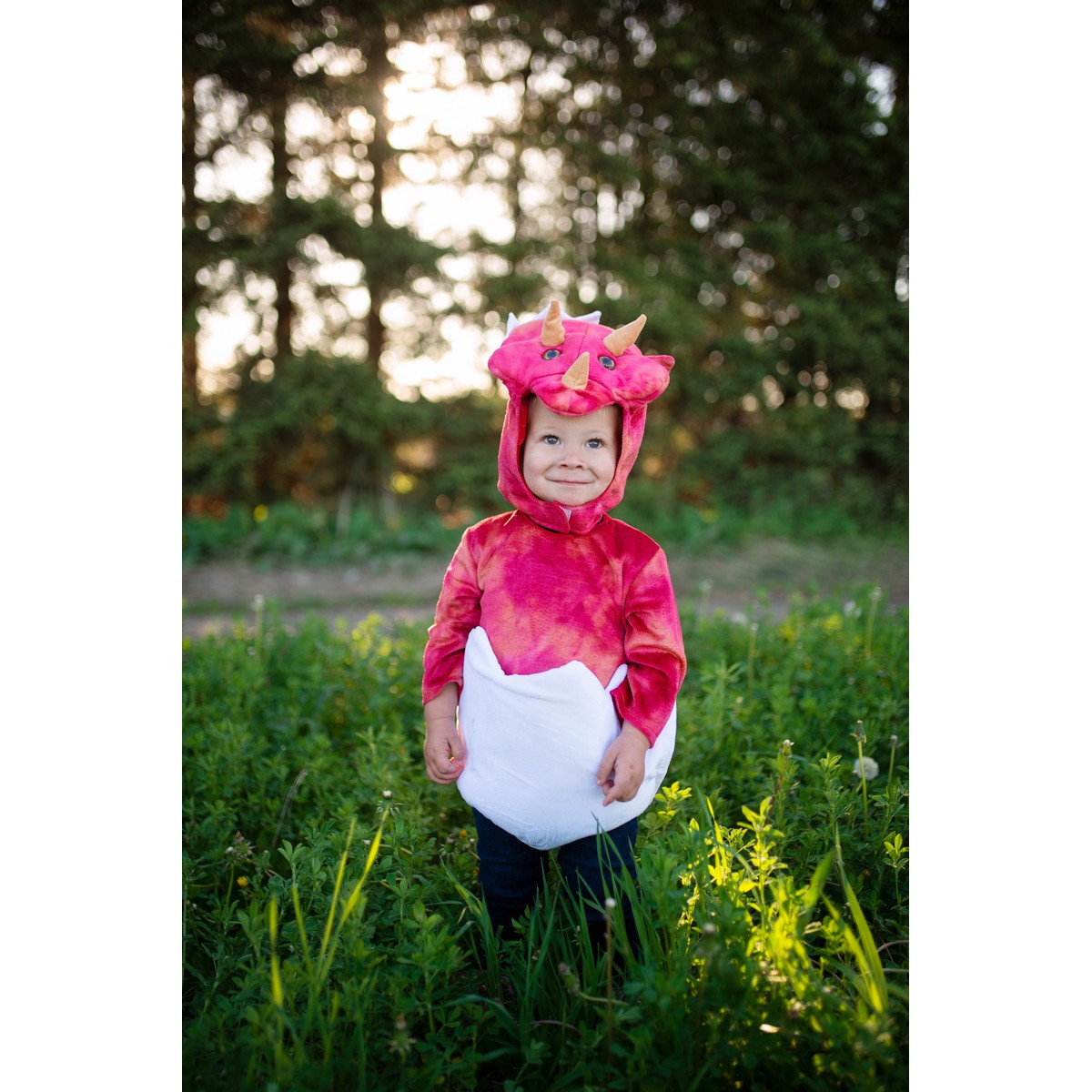 Costume Baby Triceratopo