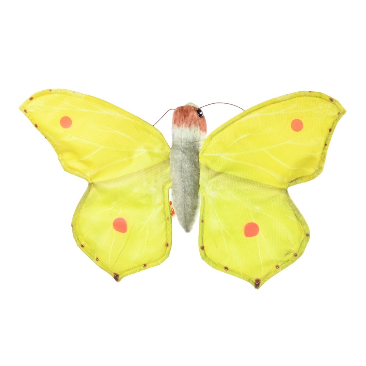Farfalla Cedronella
