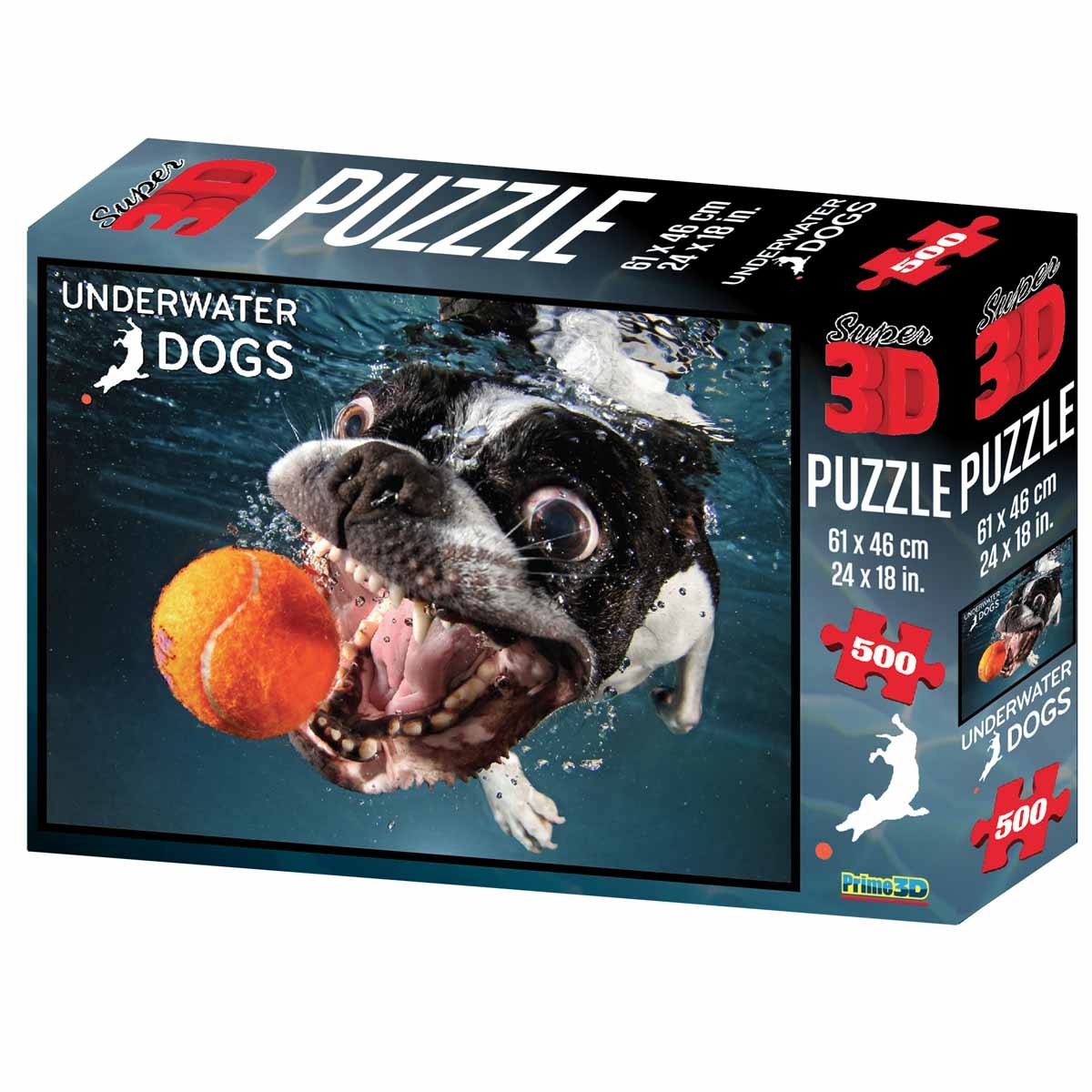 Dogs Rocco