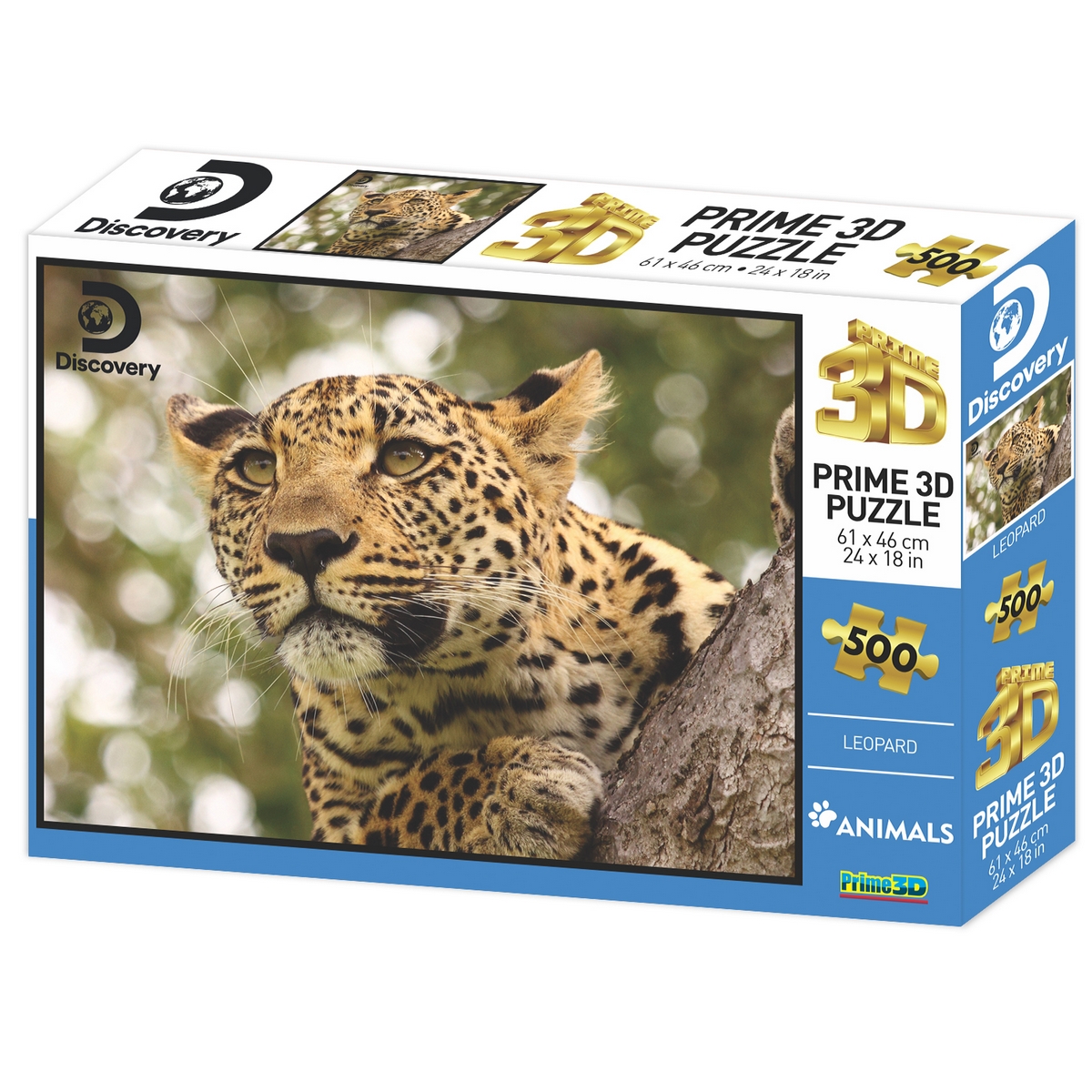 Discovery - Leopardo