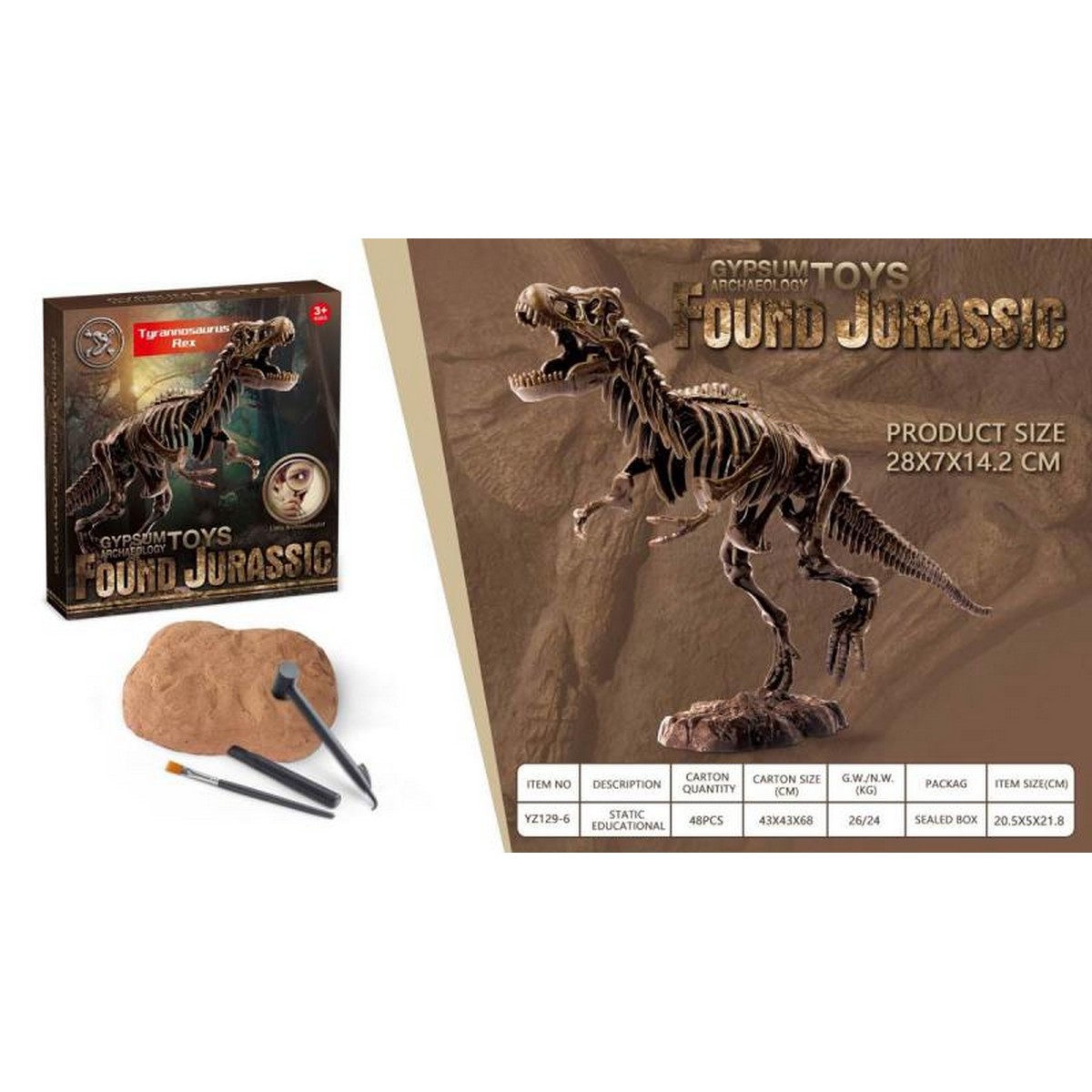 Kit dell' Archeologo - T Rex